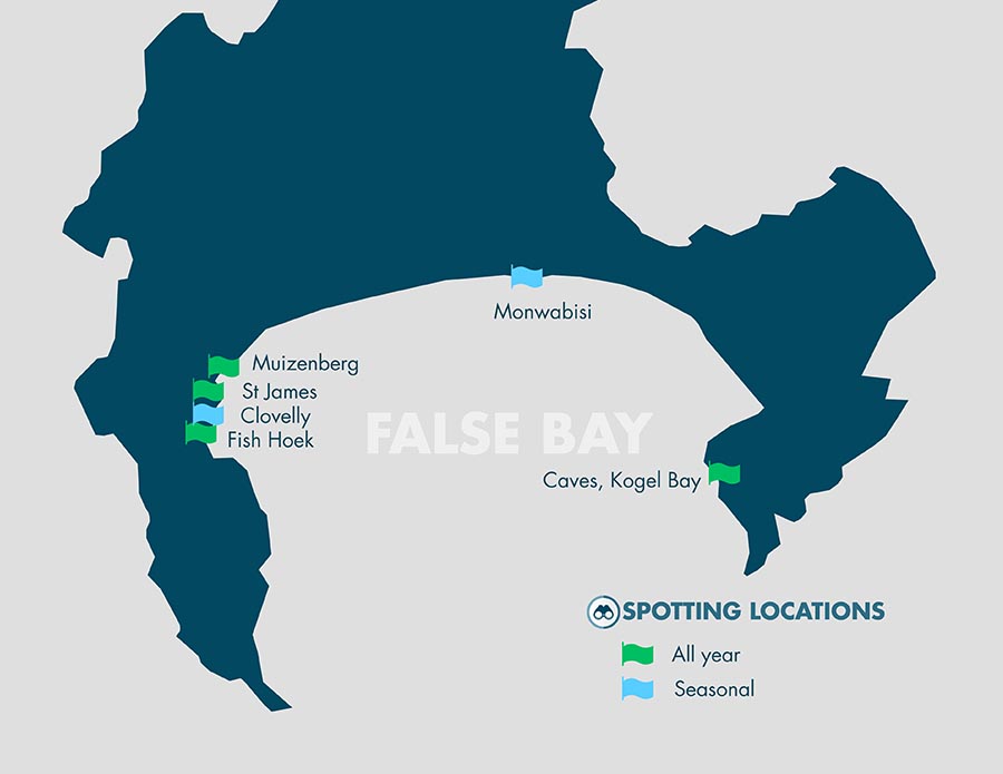 Shark Spotters Map